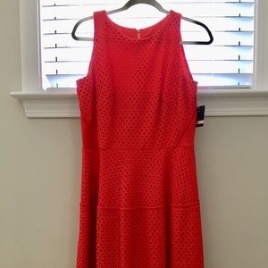 Gabby Skye NWT Fit and Flare